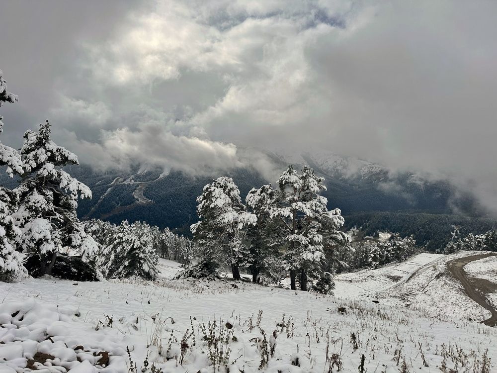 Photograph by Алексей Поляков