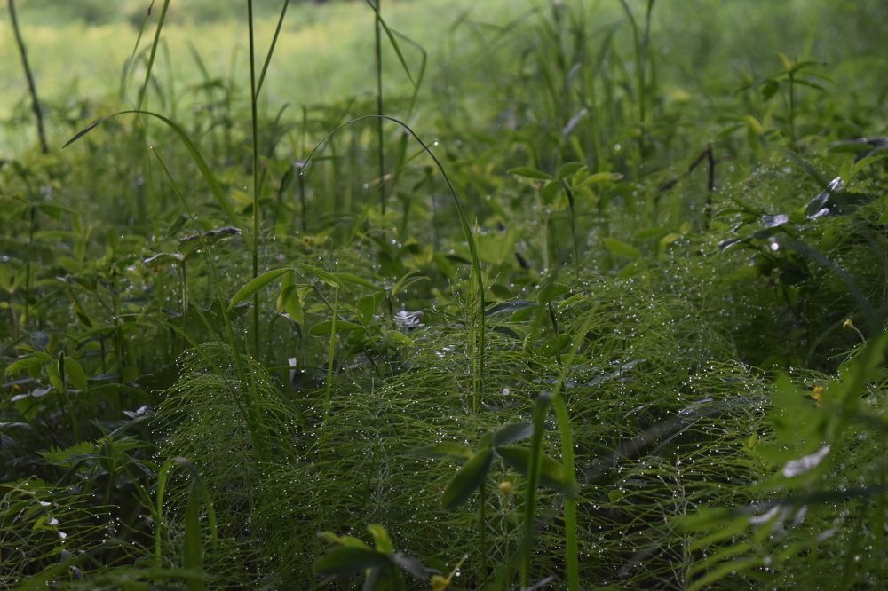 Photograph by Екатерина Лобанова