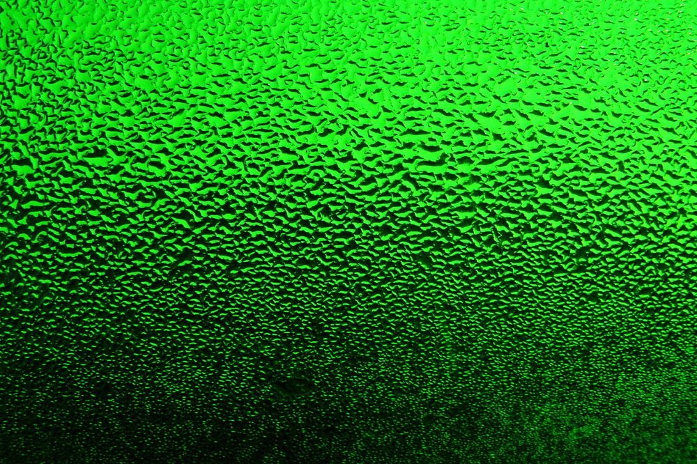 Фотография автора Александр Челмодеев