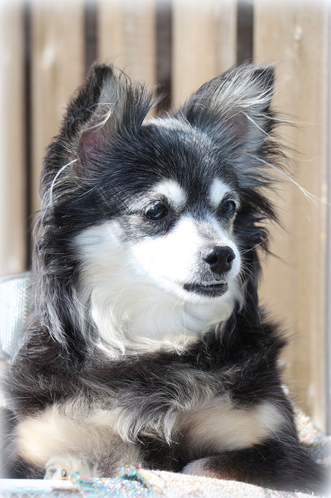 Photograph by Анастасия Бородина