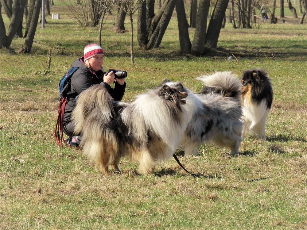 Photograph by Валерия Яскович