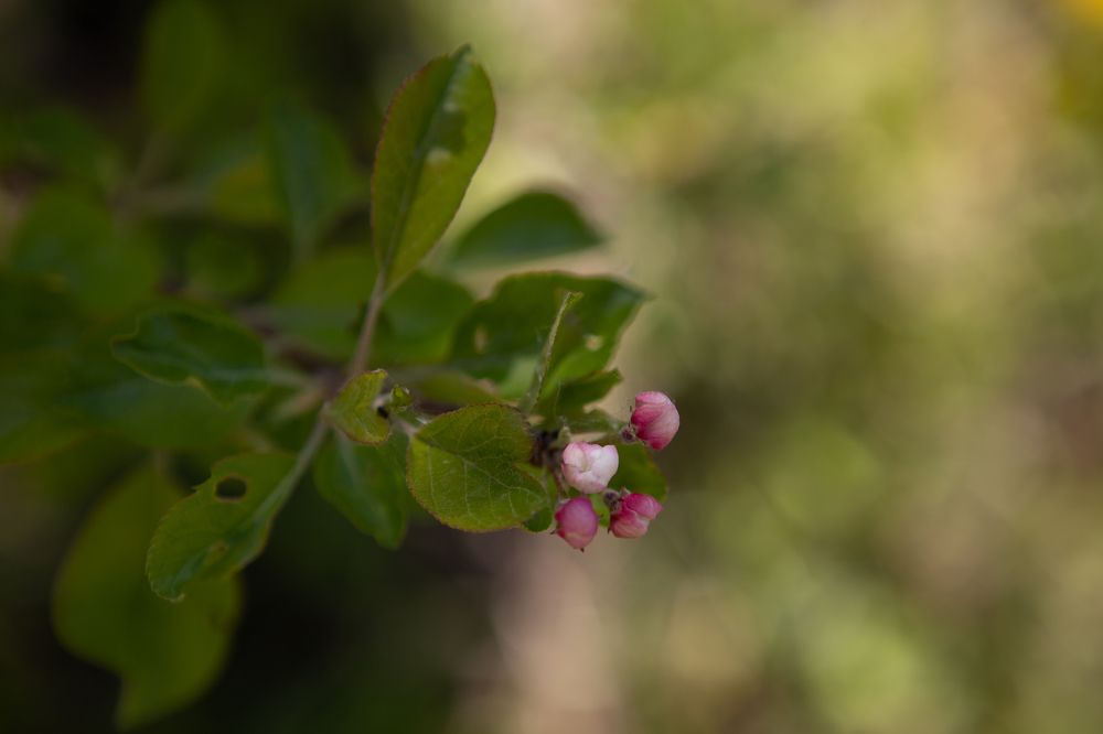 Photograph by Наталья Мотрий