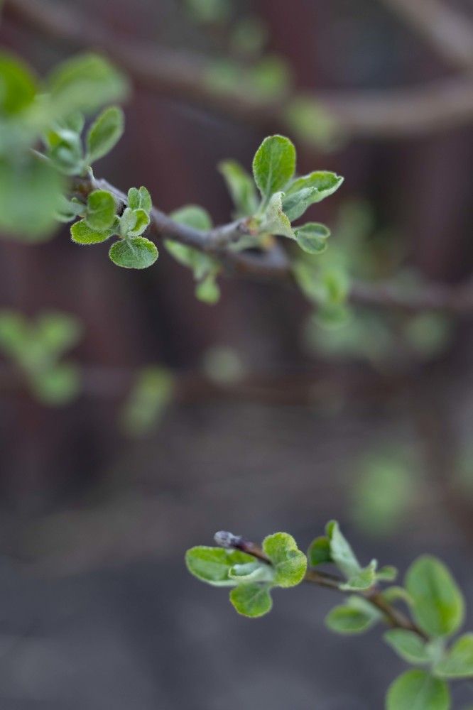 Photograph by Наталья Мотрий