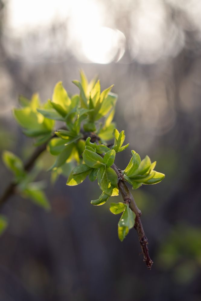 Photograph by Наталья Мотрий