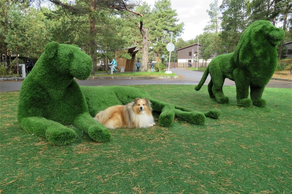 Photograph by Валерия Яскович