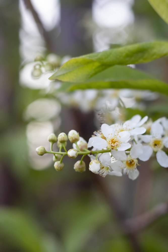 Photograph by Наталья Мотрий