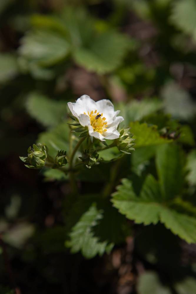 Photograph by Наталья Мотрий