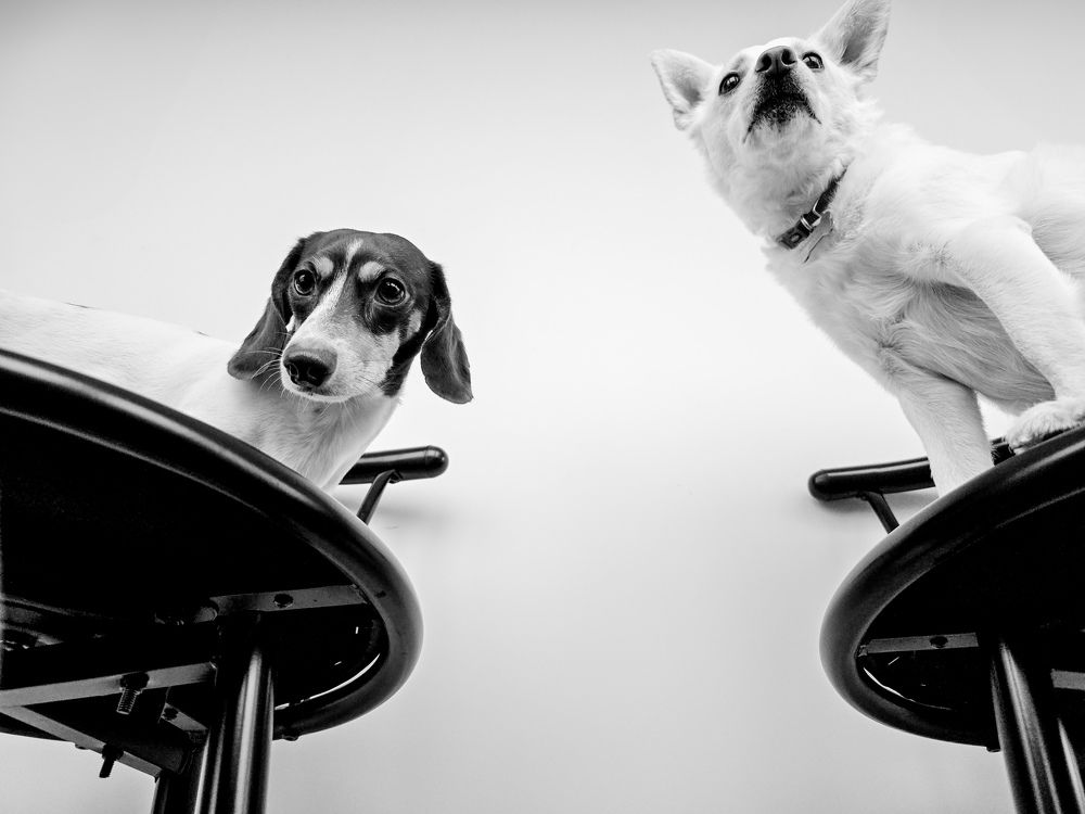 Фотография автора Ольга Шишук