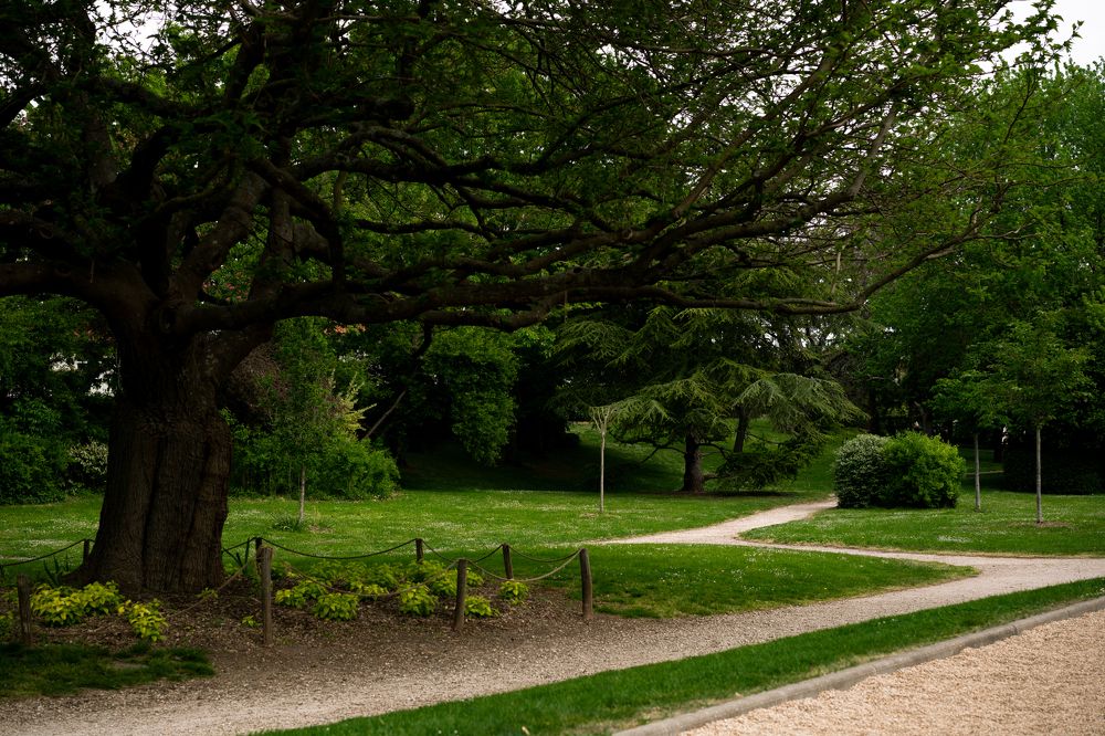 Фотография автора Valeriia Zhadan