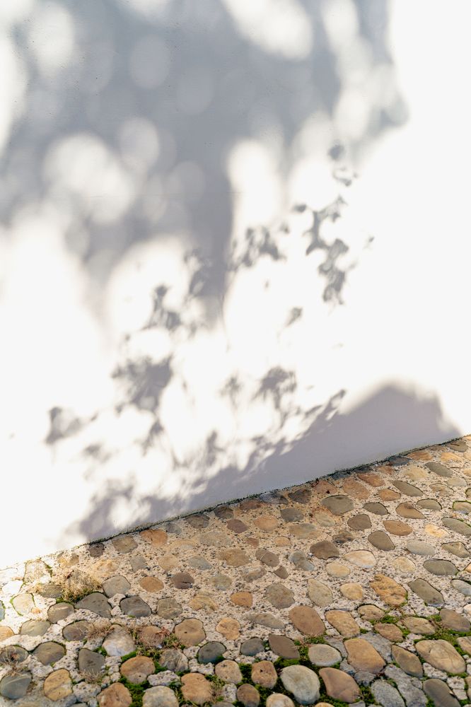 Фотография автора Valeriia Zhadan