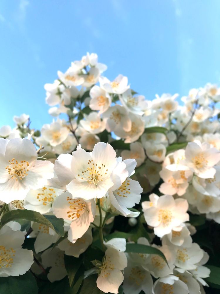 Photograph by Наталья Ермакова