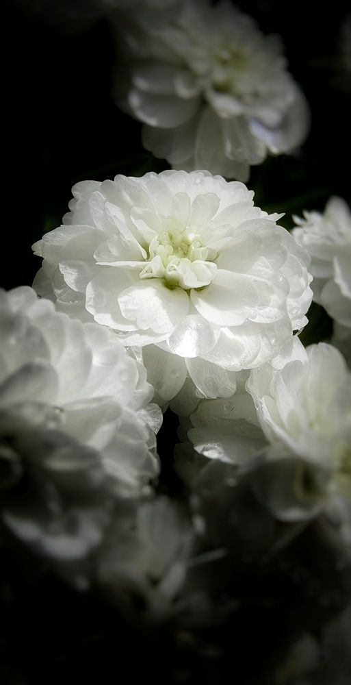 Photograph by Наталия Мельникова