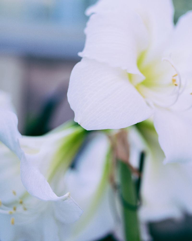 Фотография автора Valeriia Zhadan