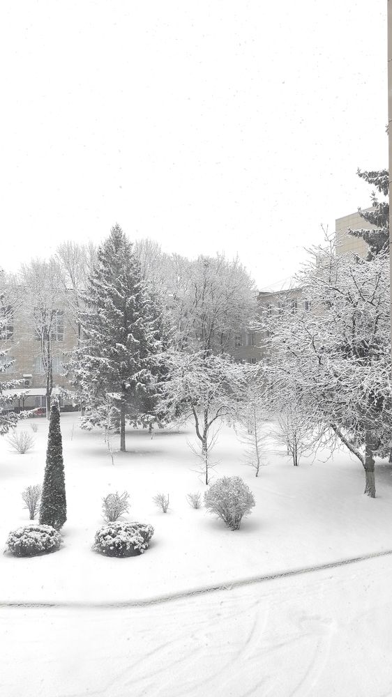 Photograph by Виолетта Клюева