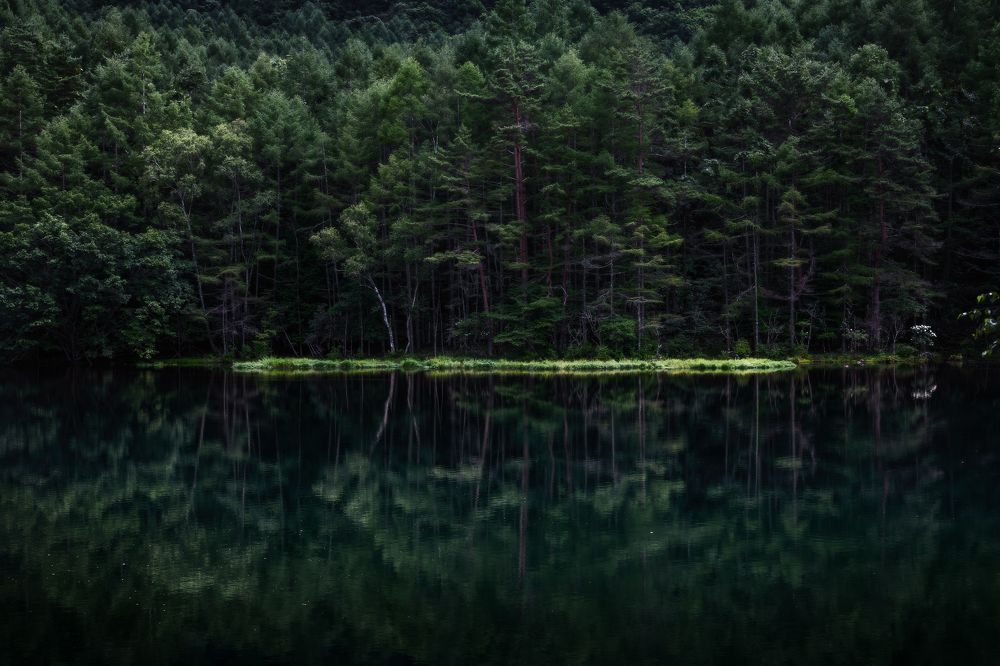 Photograph by 南雲 柊人