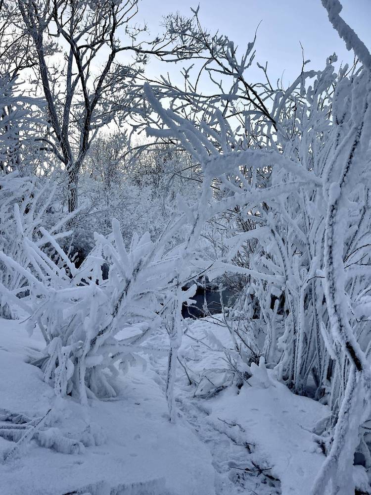 Photograph by Наталья Ермакова