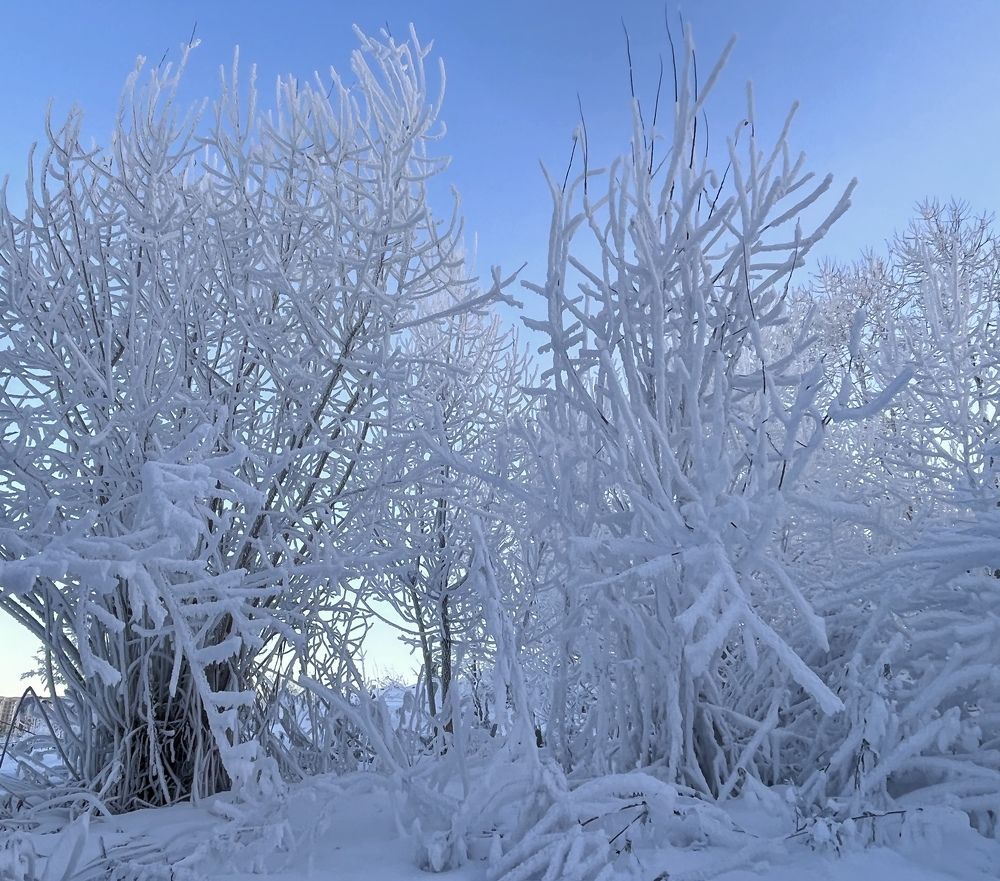 Photograph by Наталья Ермакова