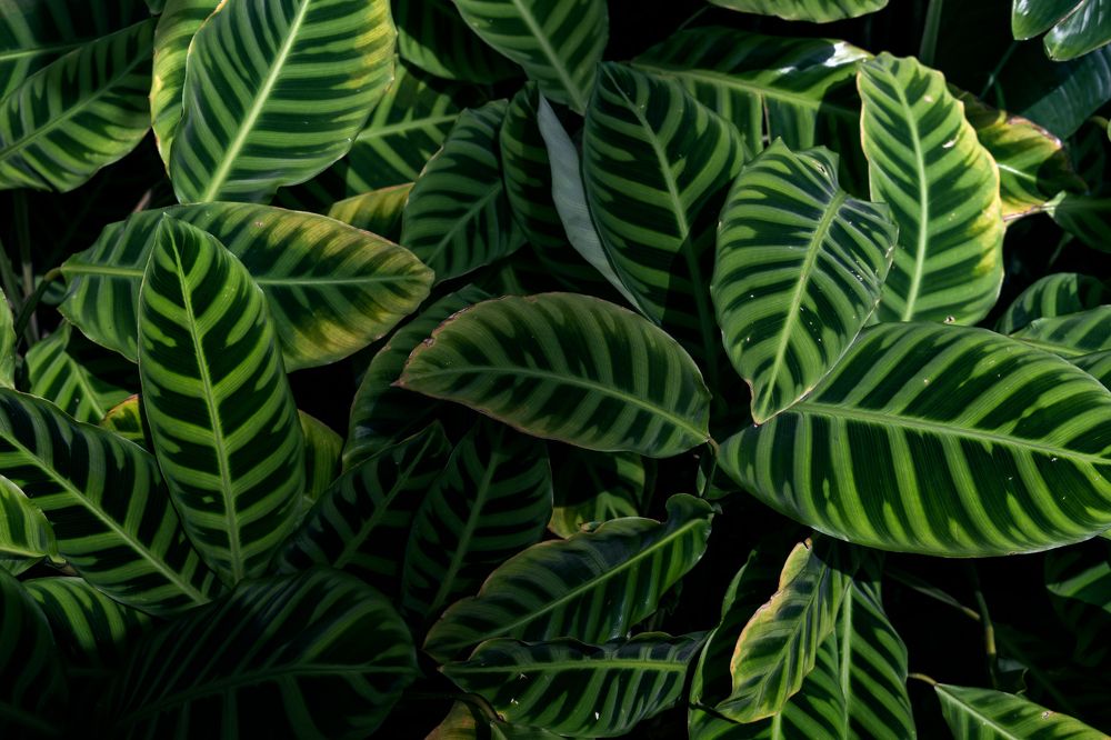 Photograph by 南雲 柊人