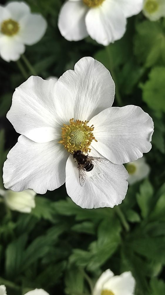 Photograph by Виолетта Клюева