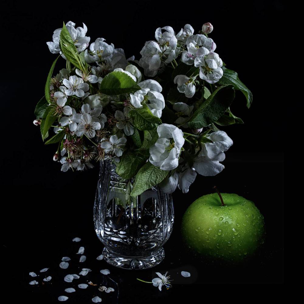 Photograph by Aleksandr Belov