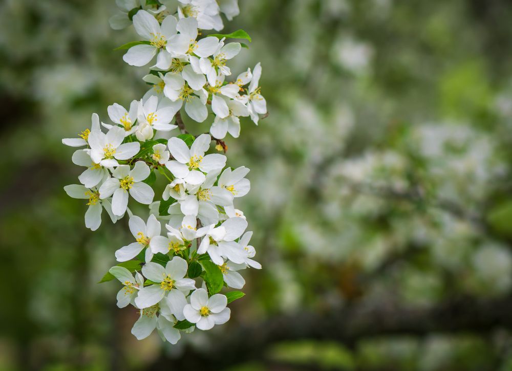 Photograph by Agita Leimane