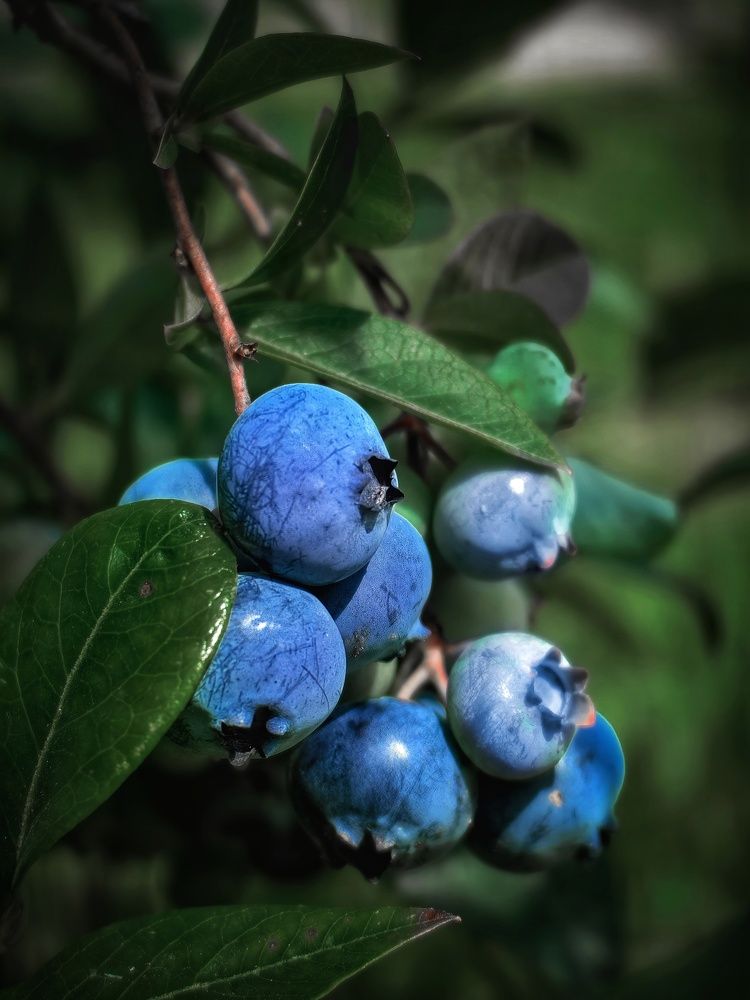 Photograph by Вероника Романенко