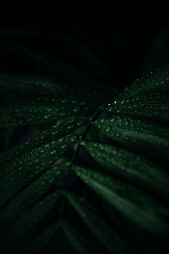 Photograph by Вероника Романенко