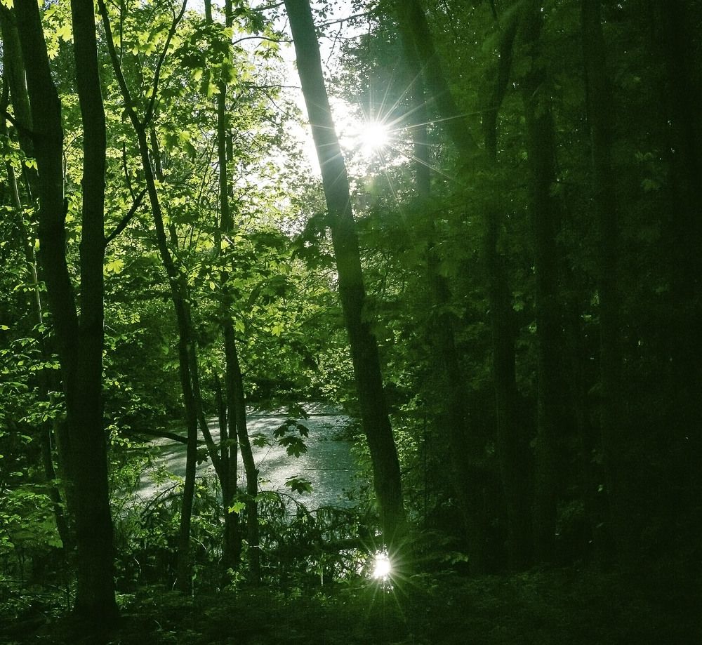 Photograph by Наталья Катюжанская