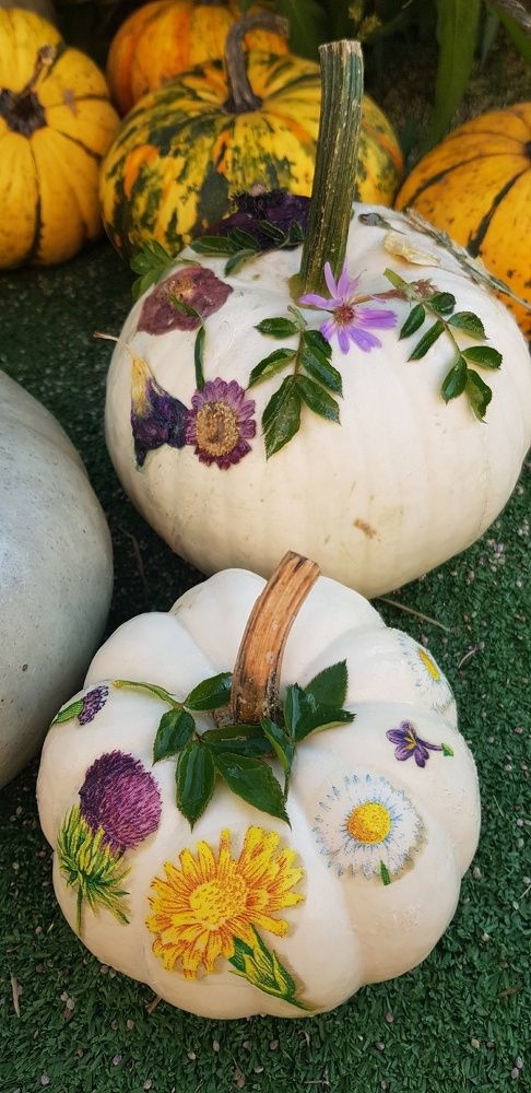 Фотография автора Ольга Мусина