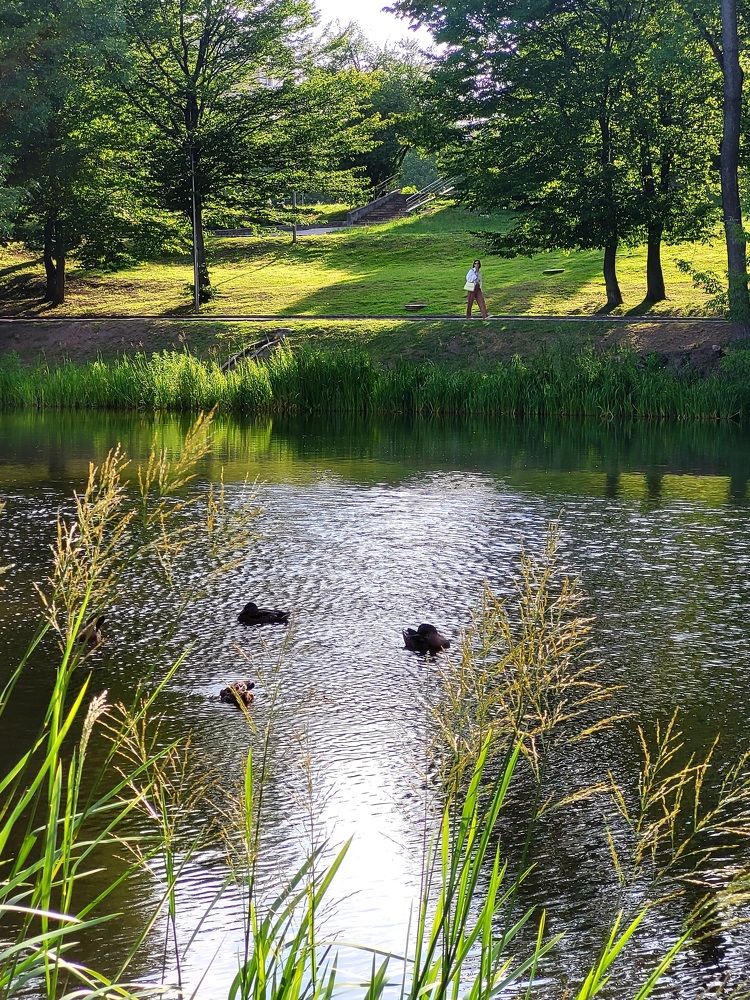 Фотография автора Казакова Людмила Ивановна