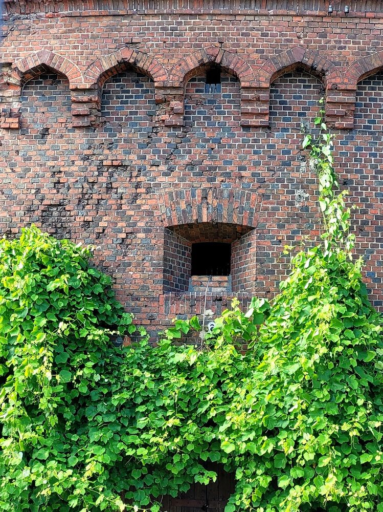 Фотография автора Казакова Людмила Ивановна