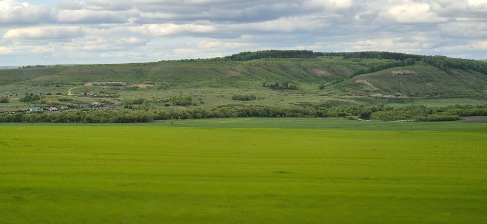 Фотография автора Ольга Мусина