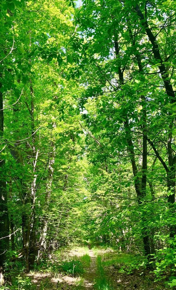 Photograph by Татьяна Мустафина