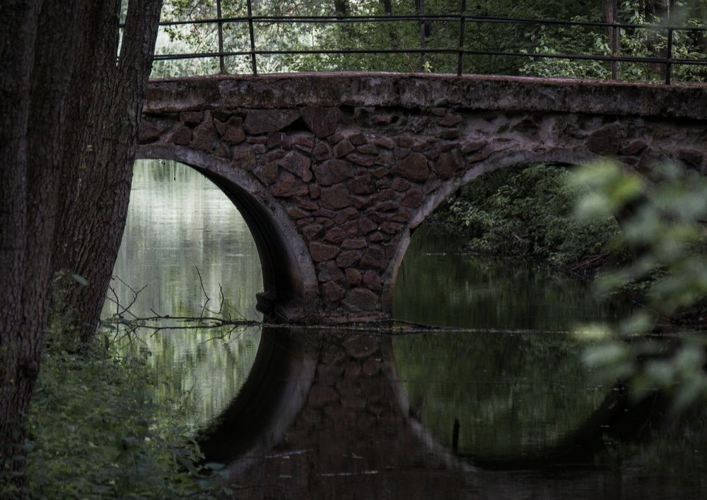 Photograph by Елена Пасажицкая