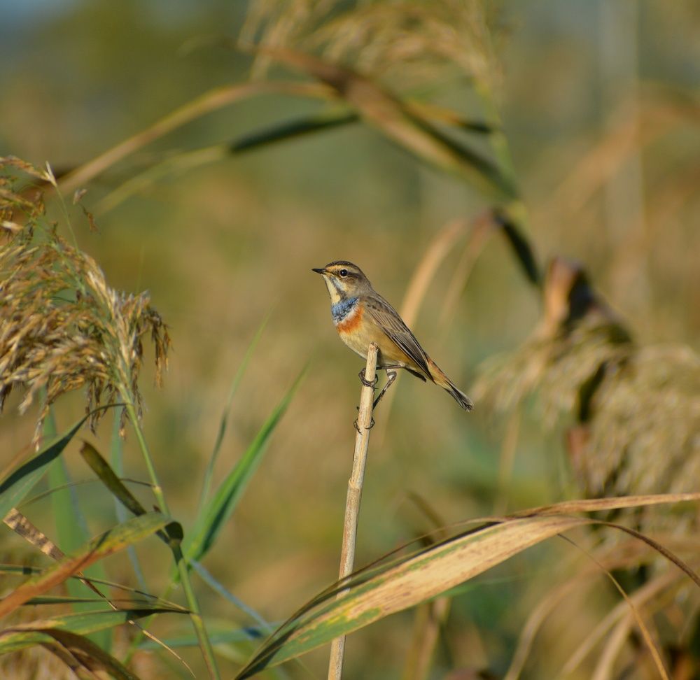 Photograph by Виолетта Клюева
