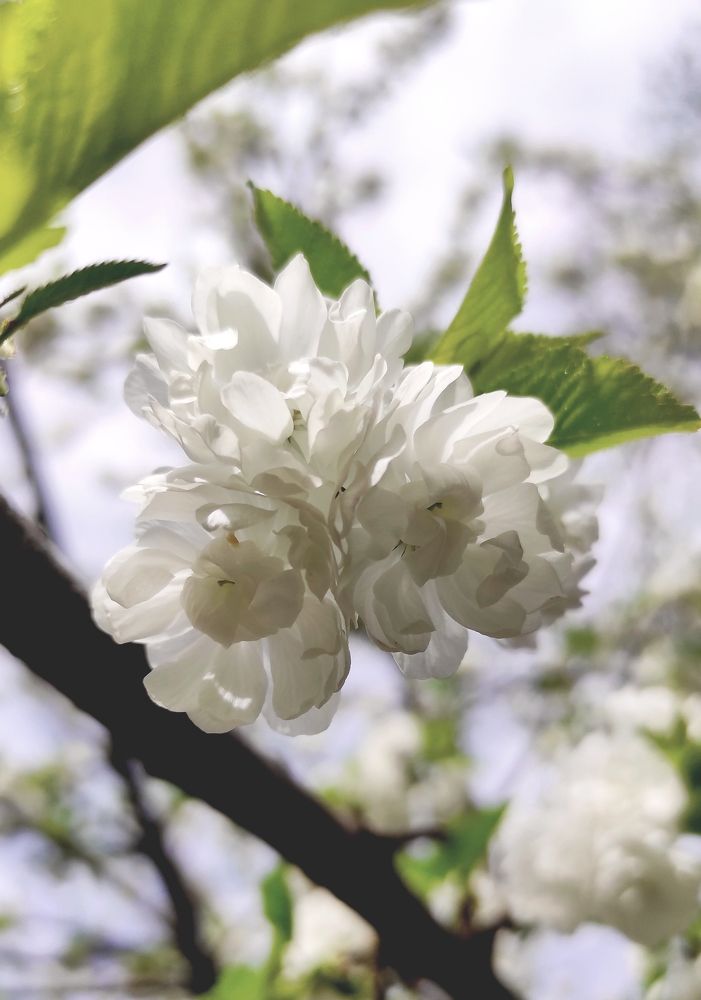 Photograph by Виолетта Клюева