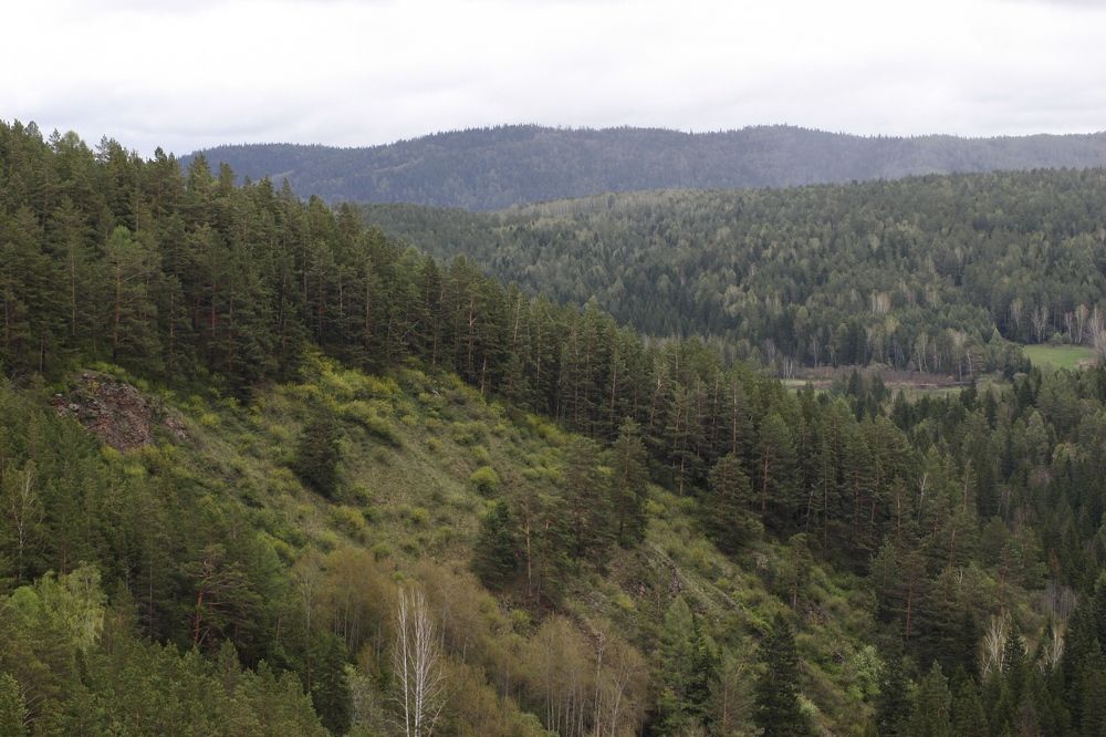 Photograph by Панюшкин Андрей