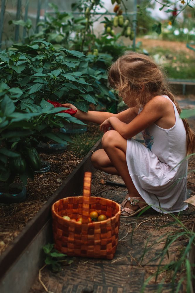 Photograph by Алексей Голубев