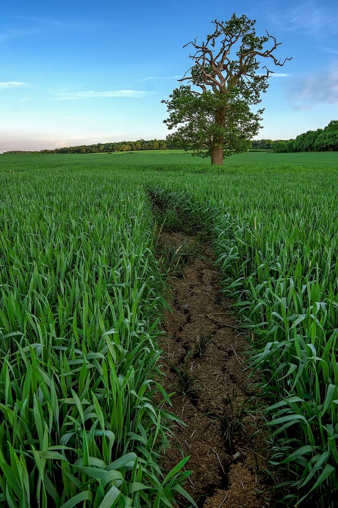 Photograph by Arnas Lucinskas