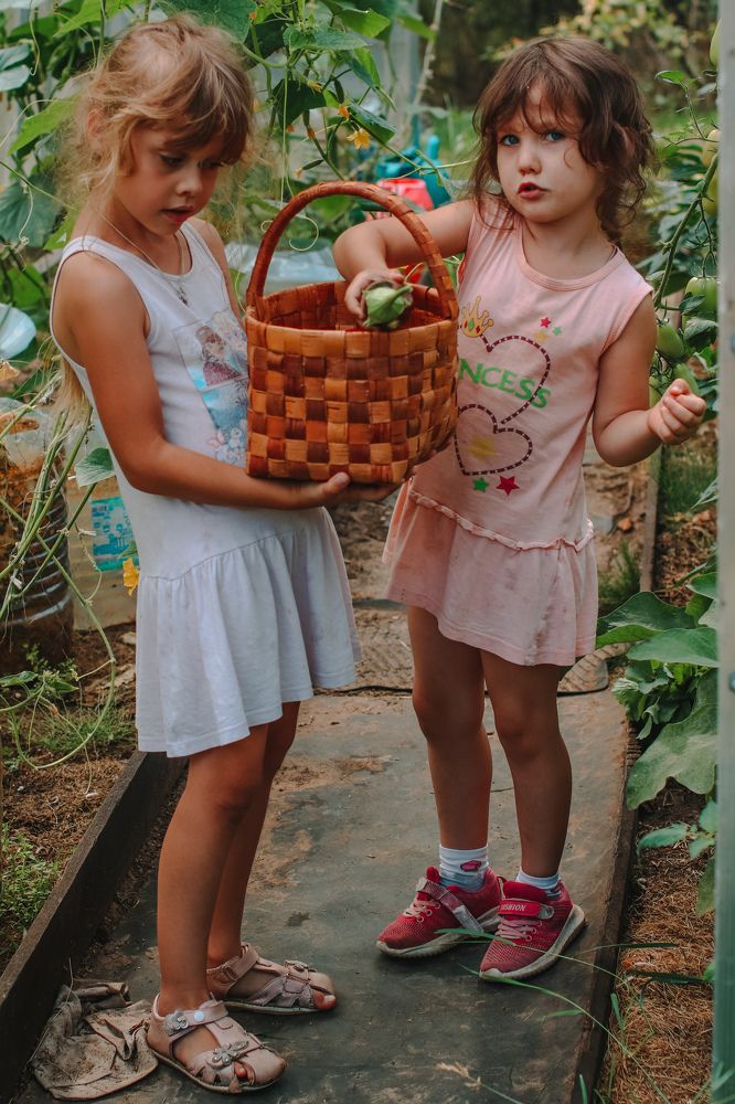 Photograph by Алексей Голубев