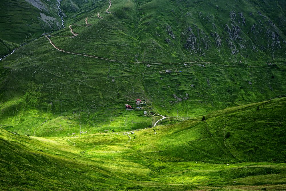 Photograph by Muzaffer Sütlüoğlu