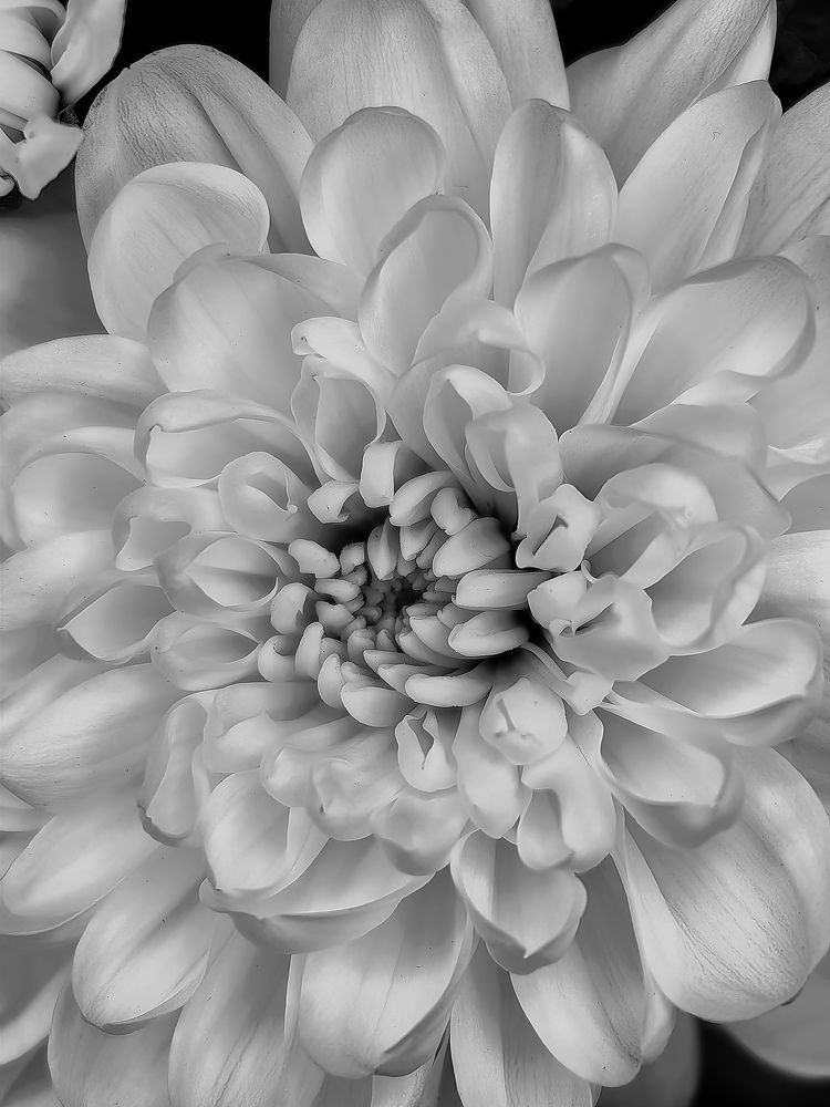 Photograph by Ольга Карева