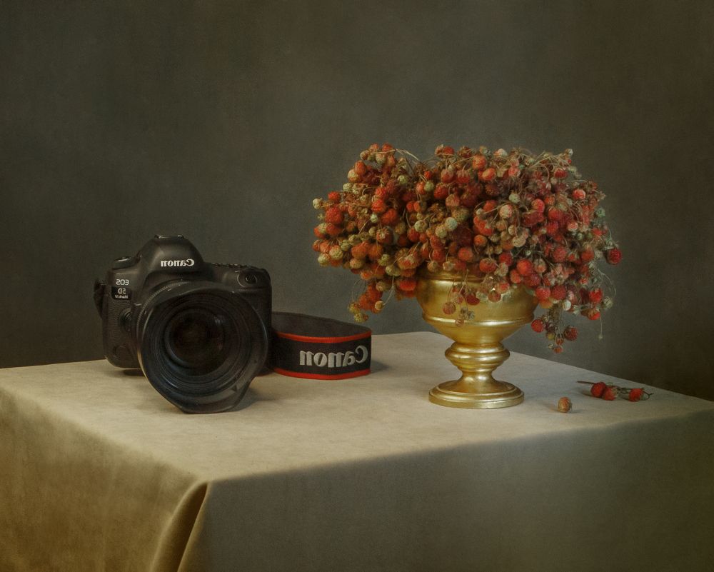 Photograph by Taтьяна Войлокова