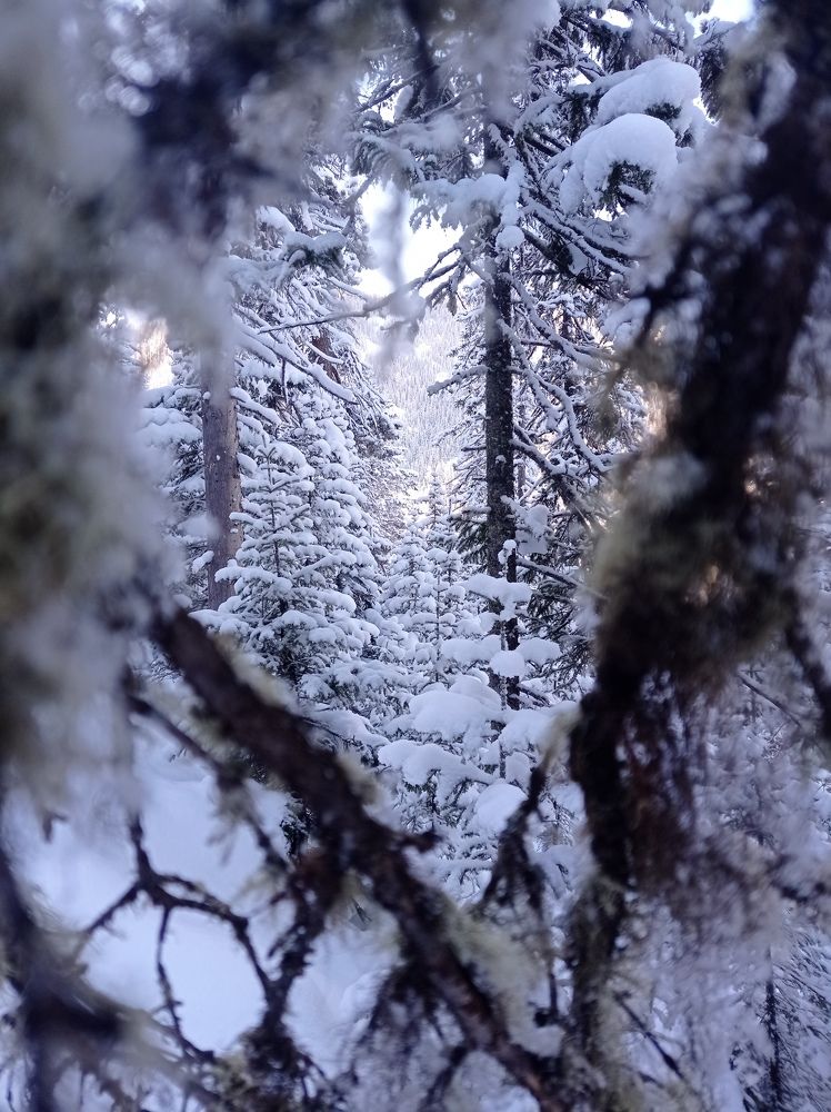 Фотография автора Сергей Байкальский