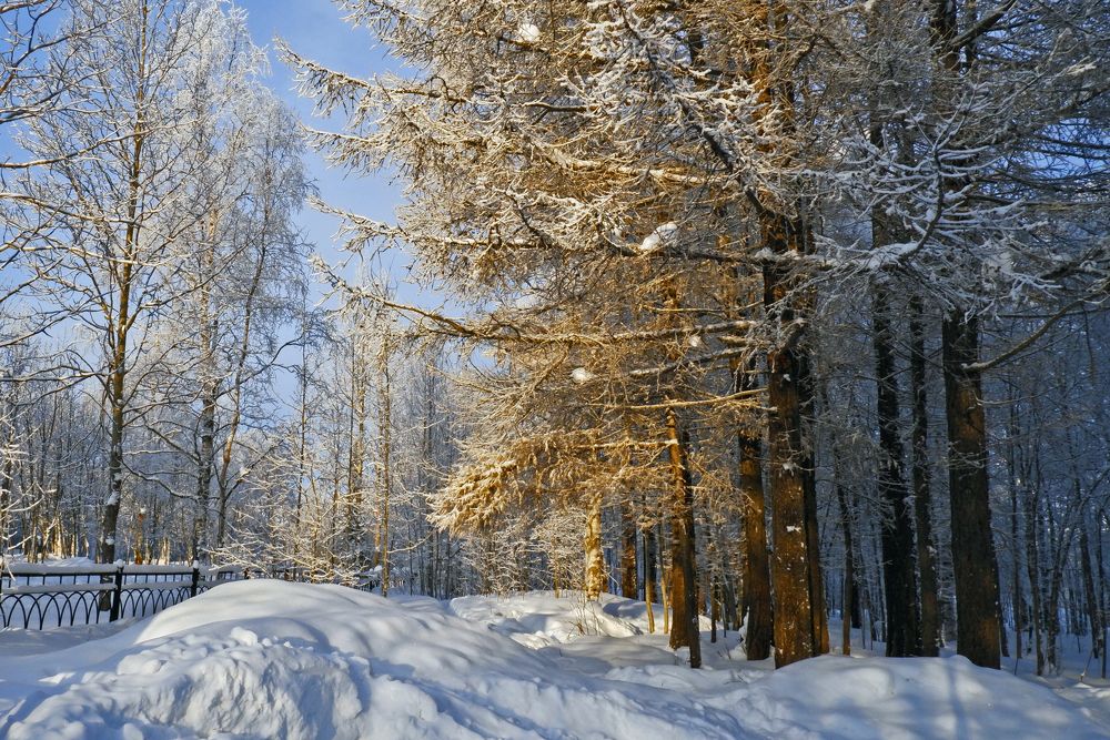 Зимний пейзаж
