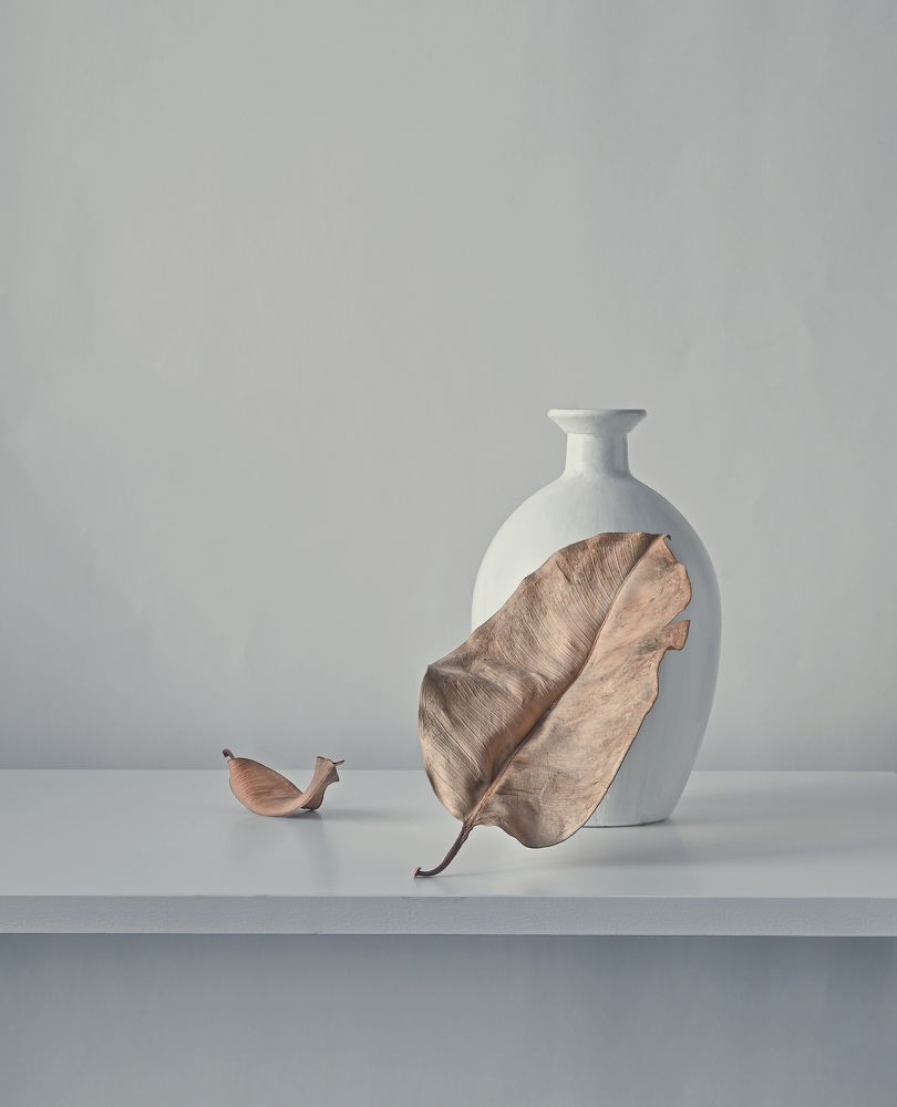 Photograph by Елена Виноградова