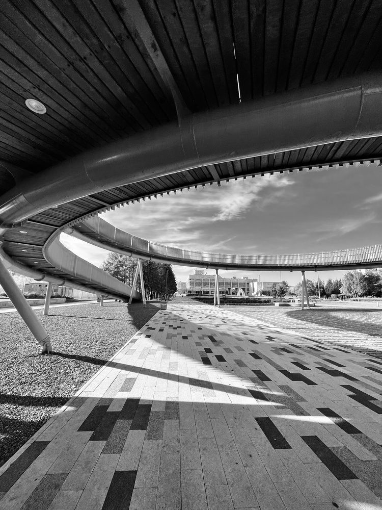 Фотография автора Рамзия Хисамутдинова