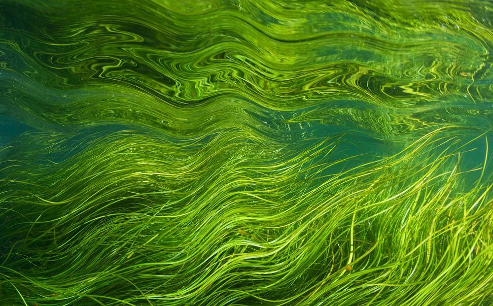 Photograph by Андрей Нарчук