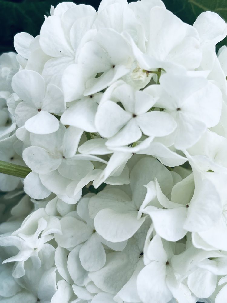 Фотография автора Рамзия Хисамутдинова