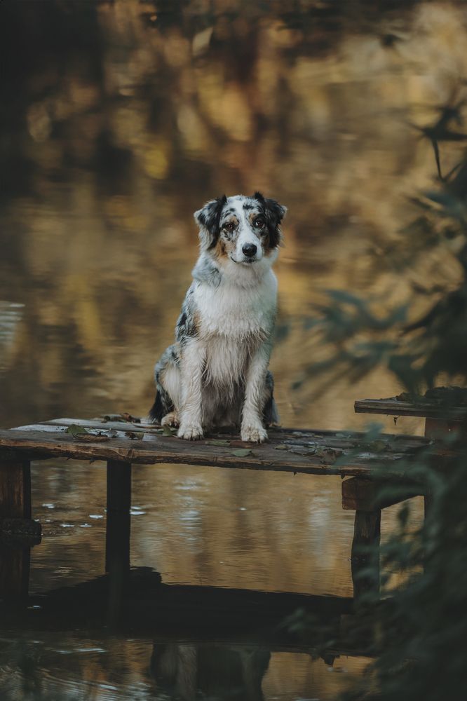 Фотография автора Анна